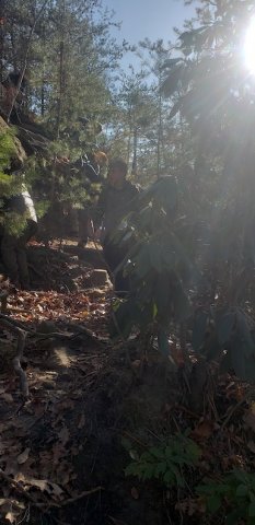 2019 Red River Gorge